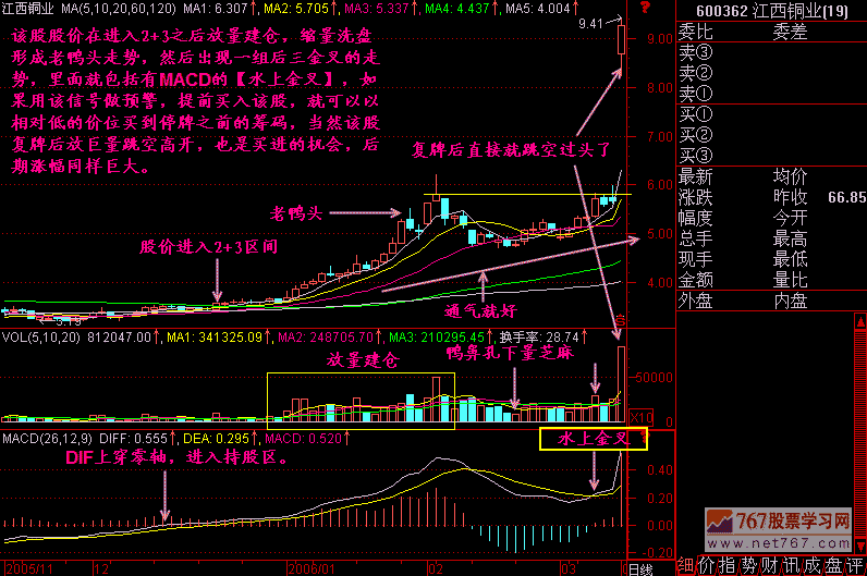 如何购买和交易股票？全面指南